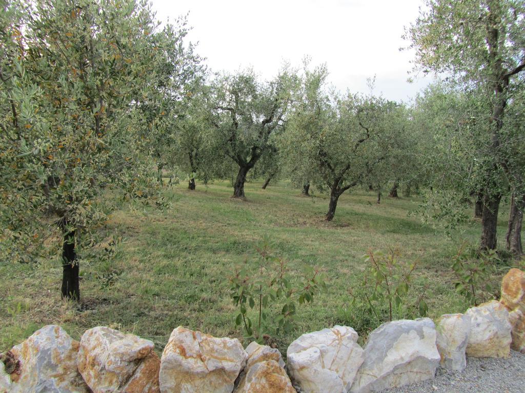 Agriturismo Borghetto Il Montino ราโปลาโนแตร์เม ภายนอก รูปภาพ