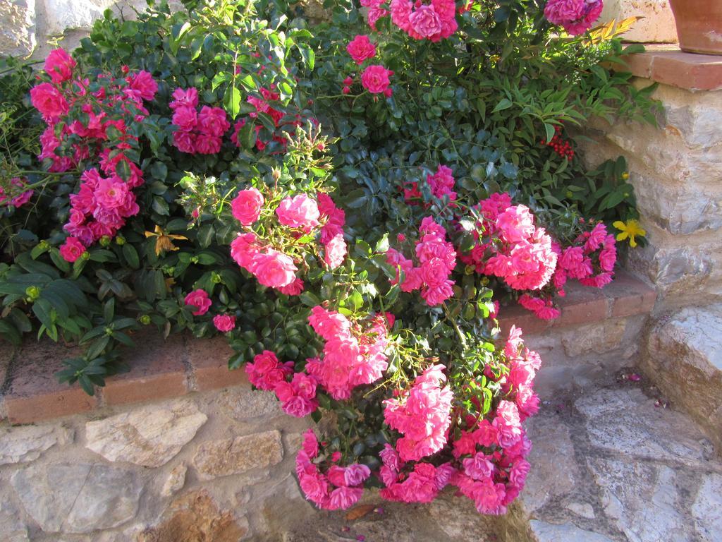 Agriturismo Borghetto Il Montino ราโปลาโนแตร์เม ภายนอก รูปภาพ