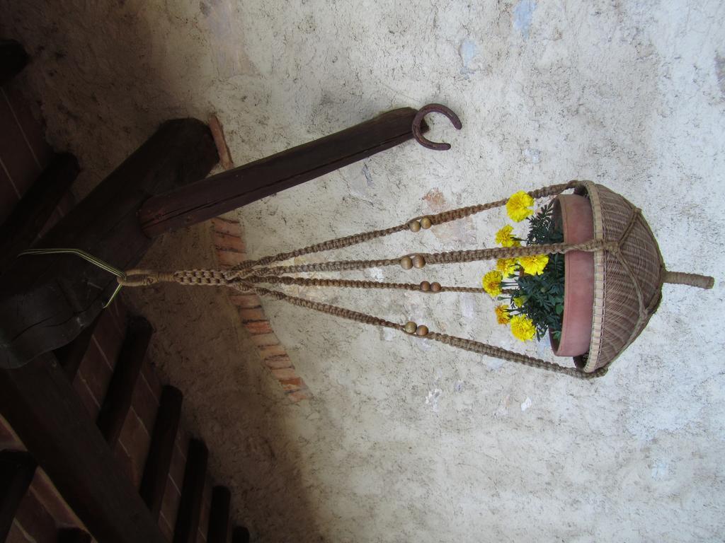 Agriturismo Borghetto Il Montino ราโปลาโนแตร์เม ภายนอก รูปภาพ