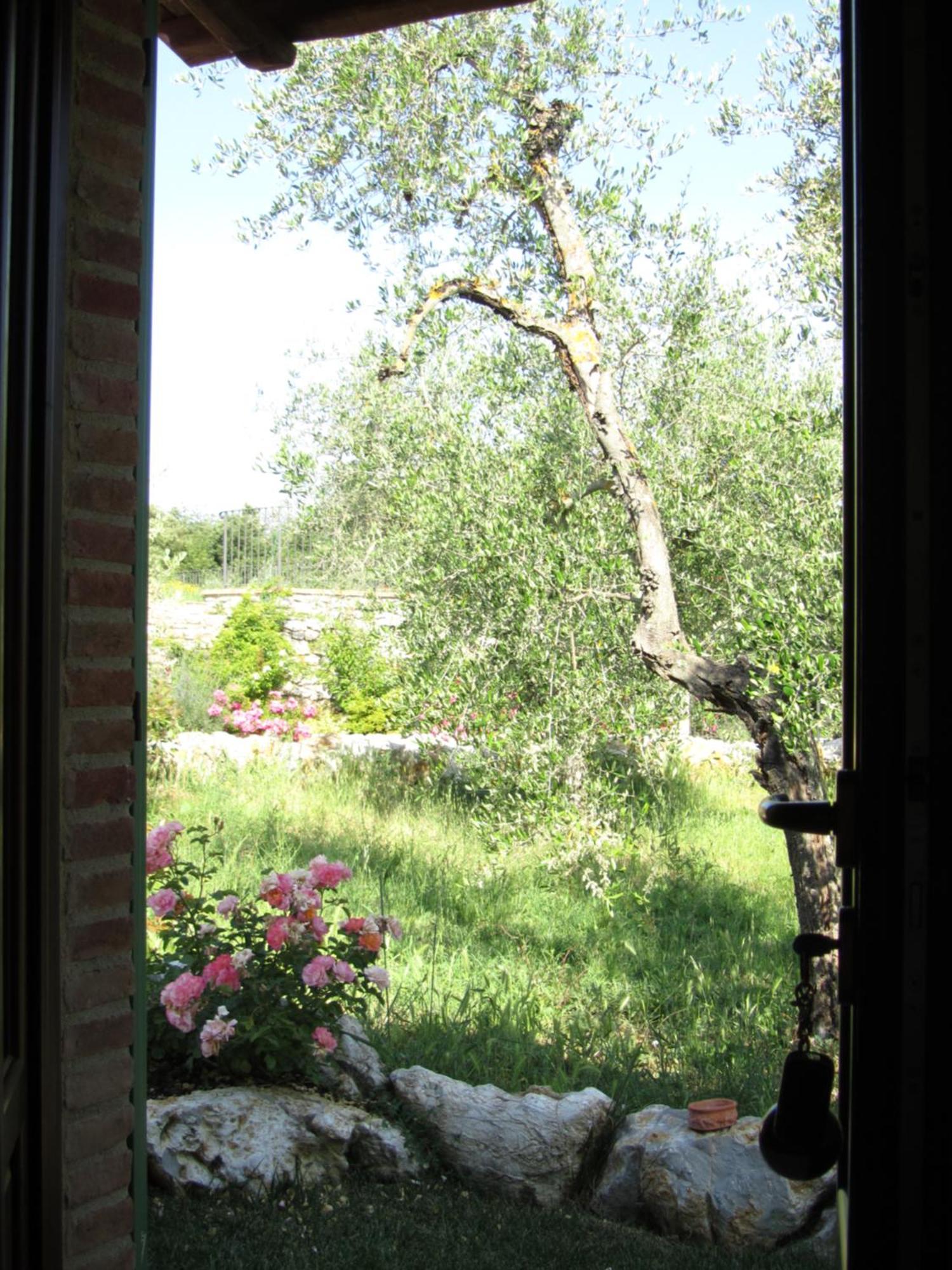 Agriturismo Borghetto Il Montino ราโปลาโนแตร์เม ภายนอก รูปภาพ