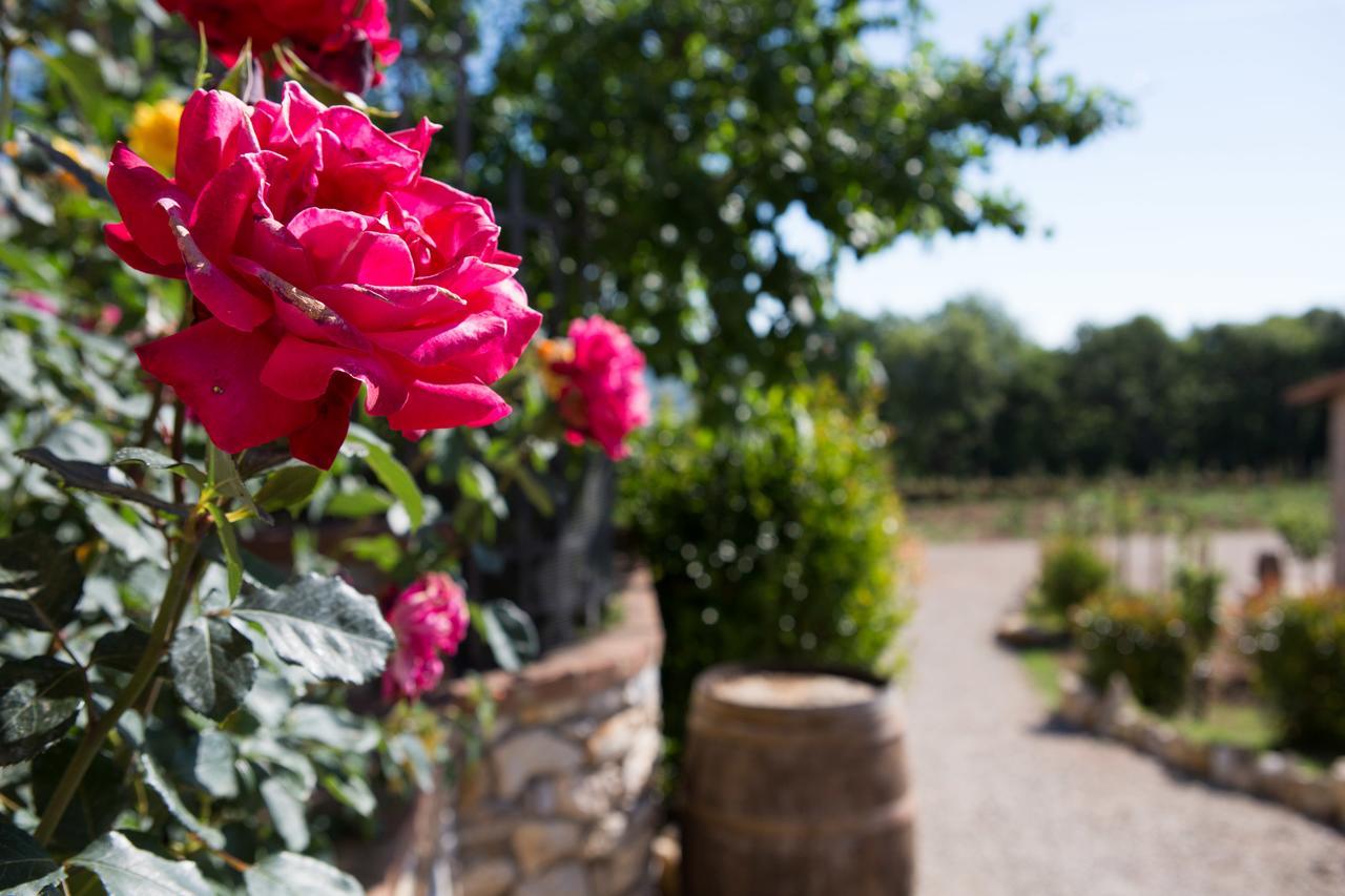 Agriturismo Borghetto Il Montino ราโปลาโนแตร์เม ภายนอก รูปภาพ
