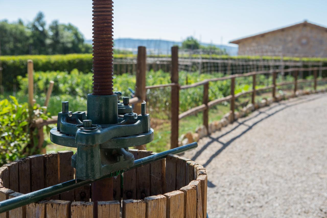 Agriturismo Borghetto Il Montino ราโปลาโนแตร์เม ภายนอก รูปภาพ