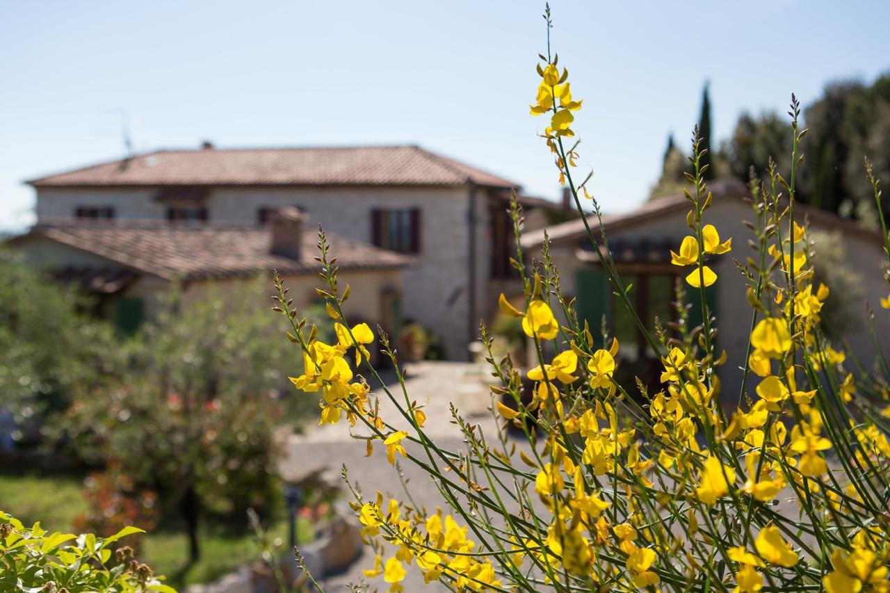 Agriturismo Borghetto Il Montino ราโปลาโนแตร์เม ภายนอก รูปภาพ